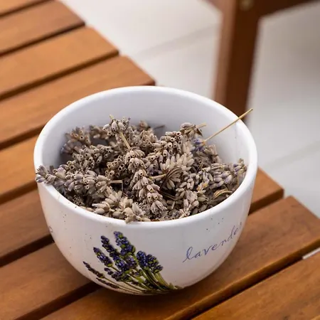 Lavanda *